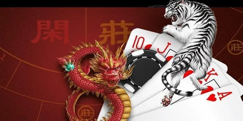 Kinh Nghiệm Chơi Long Hổ 2024 Kiếm Tiền Khủng Mỗi Ngày 2 Cách chơi Long Hổ dành cho tân binh